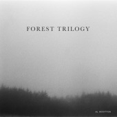 Forest Trilogy