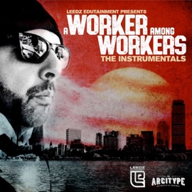 Stuck In My Way (feat. Peter Manns & the Arcitype) [Instrumental] Leedz Edutainment