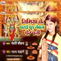 Nimiya Ke Patai Par Newta Pethawani - Single - Nandani Chauhan