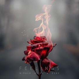 Feelings (feat. MV & Esdy) Nidalo
