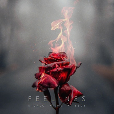 Feelings (feat. MV & Esdy) - Single