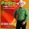 Pedro Arraez - Dos Mundos Diferentes