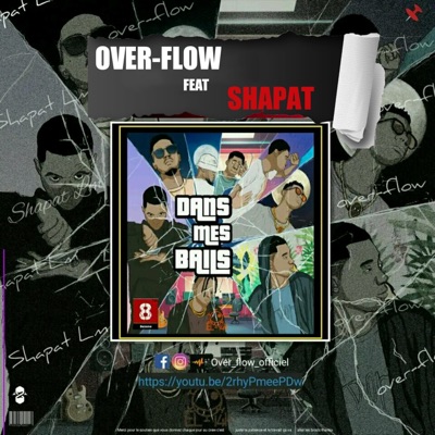 DANS MES BAILS (feat. Shapat) - Single