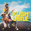 Kushubile cover art