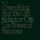 Adapt or Die: Ten Years of Remixes