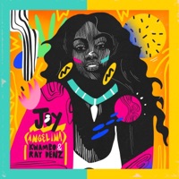 Joy (Angelina) - Single - Kwambo & Ray Denz
