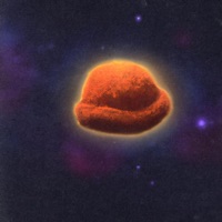 Life Is Like a Dream - Single - Davesocozy