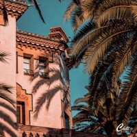 Plastic Soul - Single - KOHEI YOSHII & Gyûki