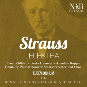 Elektra, Op.58, IRS 22, Act I: 