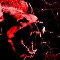 Staline - Single - Rokket Boy