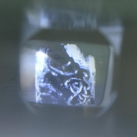 Feels Like Dying - Single - Lowlifenick