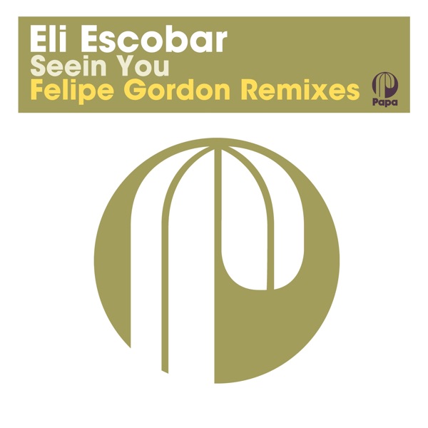 Seein You (Felipe Gordon Remixes) - Single