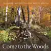 Stream & download Come to the Woods