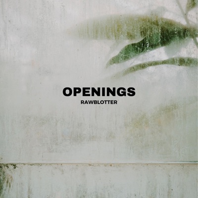 Openings - Single