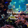 The Colors of the Ocean - Nature Therapy, Mother Nature Sound FX & Underwater World