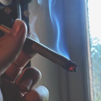 Weed Spark - Single - B.O.A.T