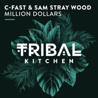 Million Dollars - Single - C-Fast & Sam Stray Wood