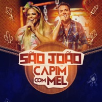 Olhinhos de Fogueira / Cometa Mambembe / Gemedeira / Frevo Mulher (Ao Vivo) - Single - Capim com Mel & Vanessa Rios
