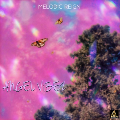 Angel Vibez - Single
