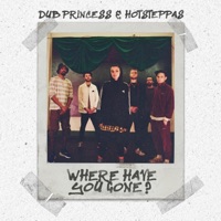 Where Have You Gone - Single - Dub Princess & Hotsteppas