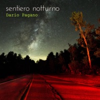 Sentiero notturno - Single - Dario Pagano