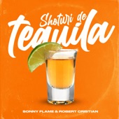 Shoturi De Tequila artwork