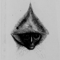 Steel Sharpen Steel (feat. Nohokai) - Single - Tones