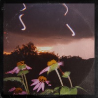 Points For Trying - Single - Andrew Chris & Asvadad