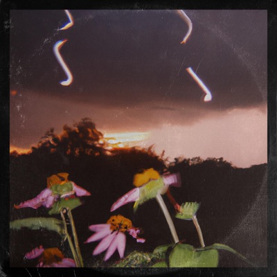 Points For Trying - Single