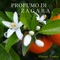 Profumo Di Zagara - Francesco Carbone lyrics