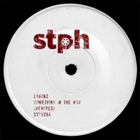 Something in the Way (Remixes) - Single - Lavonz