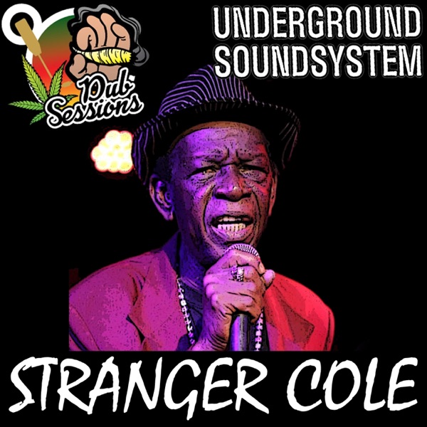 Bangarang (feat. Stranger Cole) [Dubplate] - Single