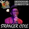 Bangarang (feat. Stranger Cole) - Undergroundsoundsystem lyrics