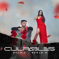 Culpables - Single - Sharik & Sebas R