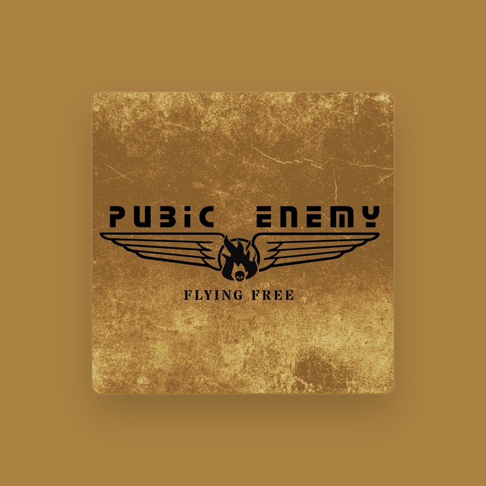 Pubic Enemy - Punk artist