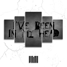 I've Been In My Head Vin Jay