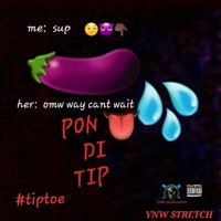 Pon Di Tip - Single - Ynw stretch