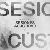 Sesiones Acústicas artwork