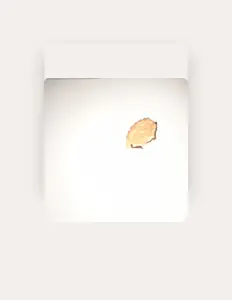 Unistation을(를) 듣고, 뮤직 비디오를 보고, 약력을 읽고, 투어 일정 등을 확인하세요!