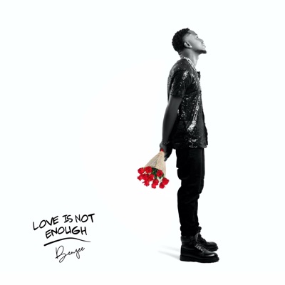 Love Is Not Enough (feat. Lumi BBS) - EP