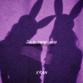 Заливаю лин XKan