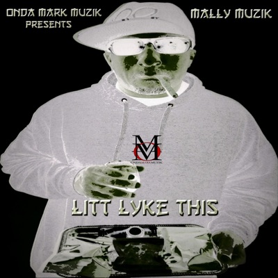 Litt Lyke This - Single