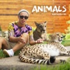 Animals - Single