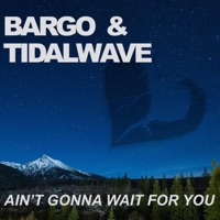 Ain't Gonna Wait For You (feat. Tidalwave) [Radio Edit] - Single - Bargo
