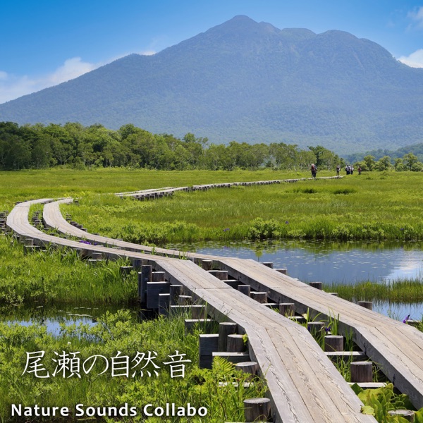 Nature Sounds Ozegahara in Japan
