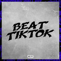 Beat do Tiktok (feat. Mc Rd) - Single - Mini Dj