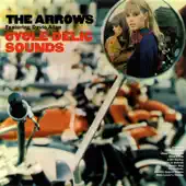 Ascolta 'Cycle Delic Sounds' di Davie Allan & The Arrows