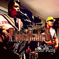 Los Pimenteles (Con Tuba) [En vivo] - EP - Los Pimenteles
