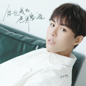 你從我的世界路過 - Single