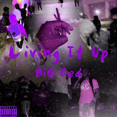 Living It Up - Single